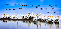 Pelican Layers